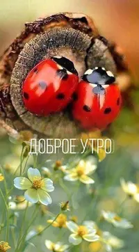 9fe93b497e053e256a8c8e6aa4ae6f8e.webp