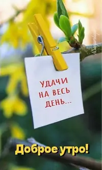 20e9dd5b910ceab24e4fe745627306f2.webp