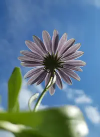 131346_d.webp