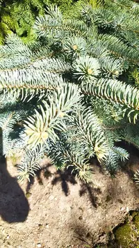 IMG_20220505_124640.webp