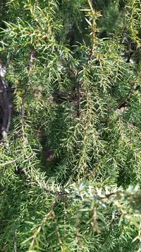 IMG_20220505_124927.webp