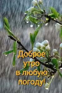 IMG-20220413-WA0002.webp