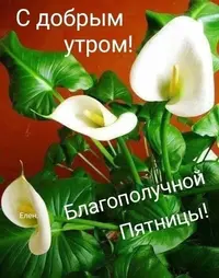 IMG-20220506-WA0005.webp