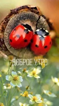 44390BCB-D6E9-4BE6-9366-1C6BBD0EF724.webp