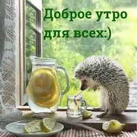 images.webp