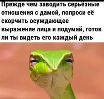05-11-21-59-50.webp