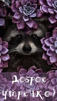 37c402e73c7e7256698931da4e47cbbc.webp