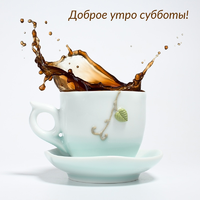 6042.webp