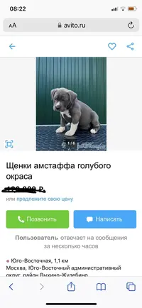 981CFF3C-9EBB-4FF9-B1C4-F3A850B5EEFD.webp