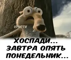IMG-bbbce844e41e82fe238b5df1920c40b1-V.webp
