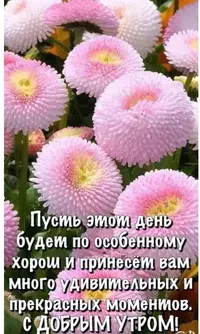 EAD66FB3-F5A9-49B4-9621-290DD687DBFE.webp