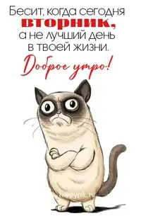 dc629b801aa0a81b2d51fed296c6590a.webp