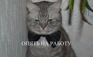 1424709715.webp