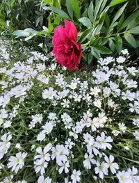 5021_Gallery.webp