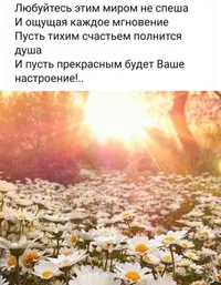 3174F91B-84FB-4B02-B3B0-521678964E03.webp