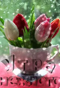 464DCE22-0D91-43BF-8044-55006CDB4510.webp