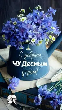 IMG-20220516-WA0001.webp