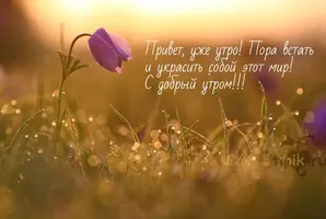 133.webp