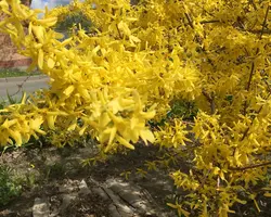 AB3592A4-5527-4D9C-94F7-DFB01568EB45.webp