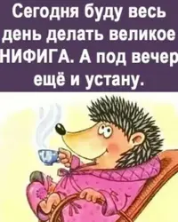 F8980298-F8FA-4127-8CEF-CA9E4E1CE0C2.webp