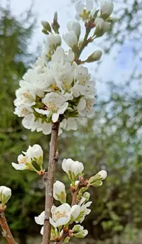 IMG_20220518_170309.webp