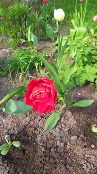 IMG_20220516_155048.webp