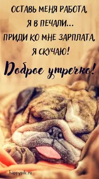 766614fe8753228f633c9d2882cfc426.webp
