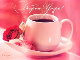 y_d3d145965a.webp