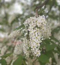 Screenshot_20220519-135649_Gallery.webp
