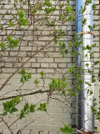 20220514_122953.webp