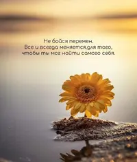 981BA61D-AAB1-4652-954A-AE9EF1CC3C0F.webp