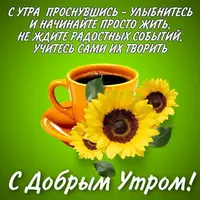 6e9e27c7fc959a22feb028b86d0111b4.webp