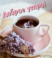 6d489a.webp
