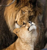 194348_m.webp