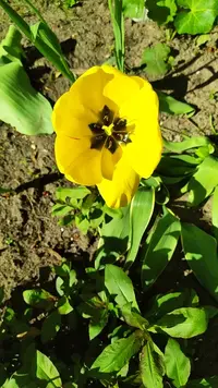 IMG_20220520_154633.webp