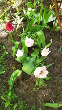 IMG_20220520_154813.webp