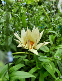 406_Gallery.webp