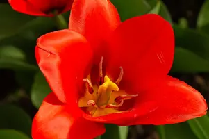 E527AC04-453A-4277-B977-4F0CBF4FA754.webp