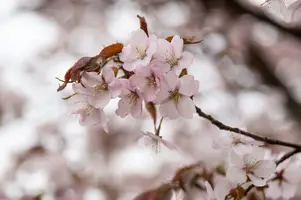 49E1E814-7D10-42FC-BA7F-5C329A70BBD2.webp