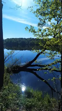 IMG_20220521_075807.webp