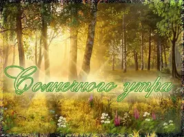 horoshego-letnego-dnya-i-dobroe-utro-53-.webp