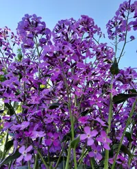 74112_Gallery.webp