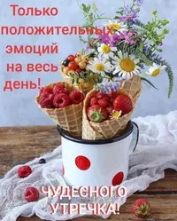 050f872784c1c7564c2fcd87564e4689.webp