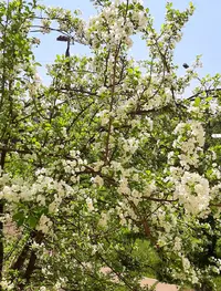 Screenshot_20220523-135649_Gallery.webp