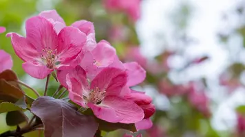 30481EF7-D26F-4F52-ADC3-9B063100FD61.webp
