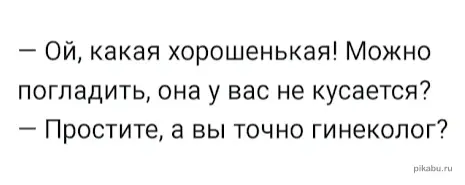 3e40d569.webp