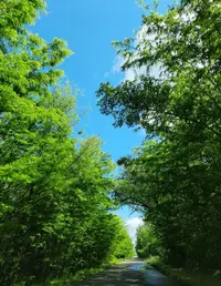 3352_Gallery.webp