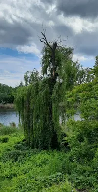 44027_Gallery.webp