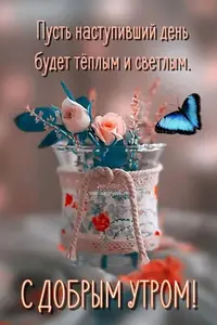 fe7312c50381de15eeda35a6049c437d.webp