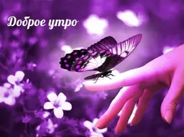 05D54899-A8CE-49E6-A75B-BB93442DBAC7.webp